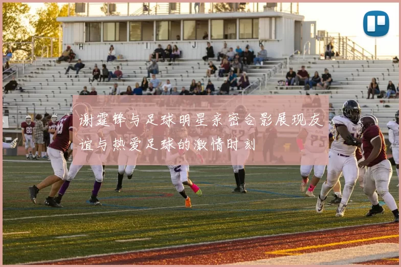 谢霆锋与足球明星亲密合影展现友谊与热爱足球的激情时刻