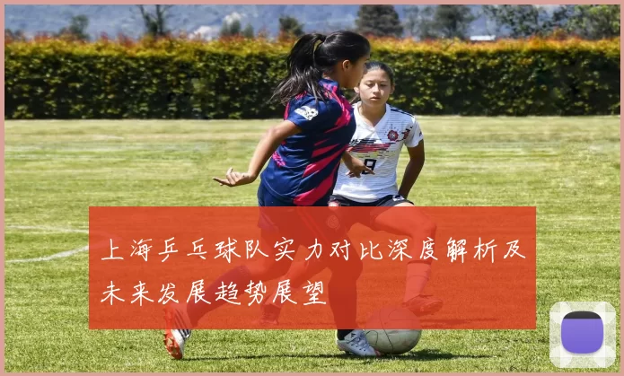 上海乒乓球队实力对比深度解析及未来发展趋势展望