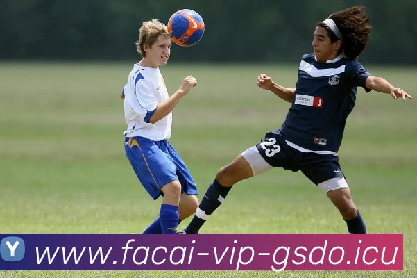 华体会体育平台生态图